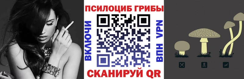 hydra купить Волгоград Псилоцибиновые грибы GOLDEN TEACHER